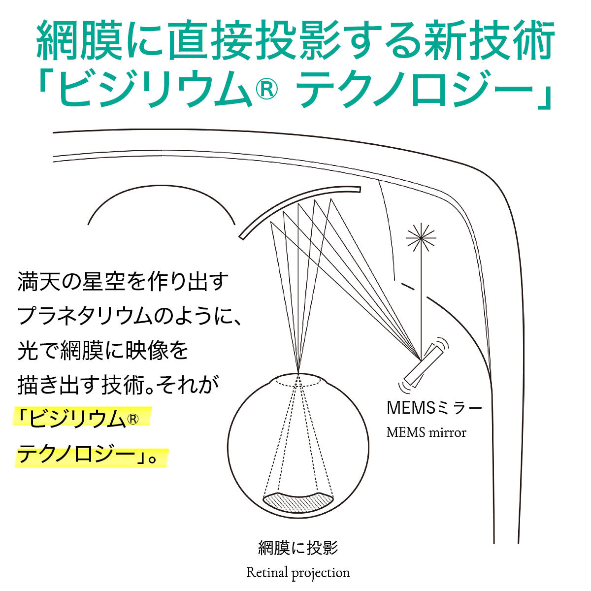 QDレーザ 網膜投影ヘッドマウントディスプレイ「RETISSA Display II」用 HDMIカメラ RD2CAM